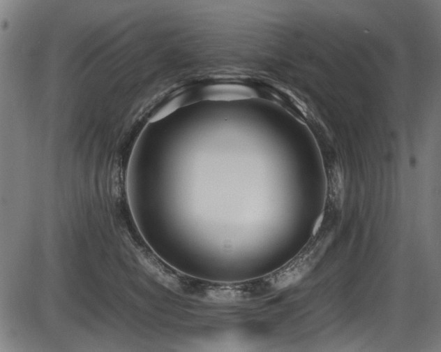 X0000087640470200705031515