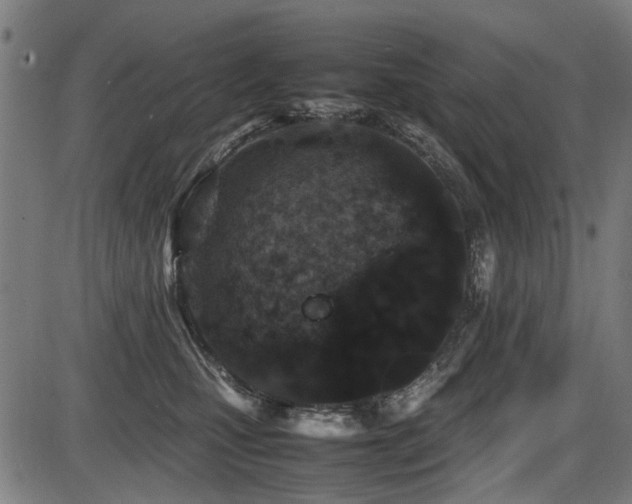 X0000087640471200705031515