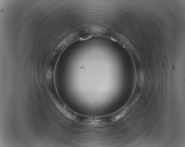 X0000087640472200705031515