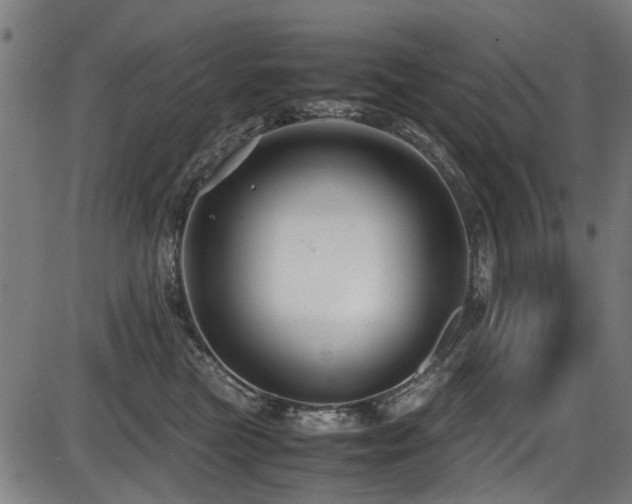 X0000087640473200705031515