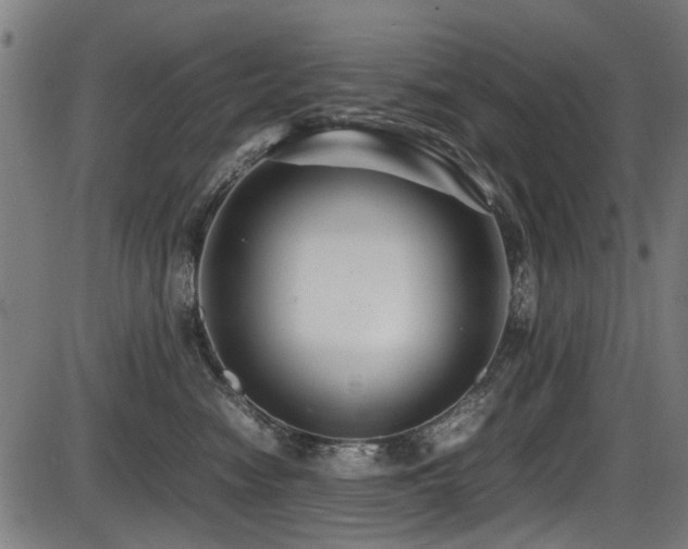 X0000087640474200705031515