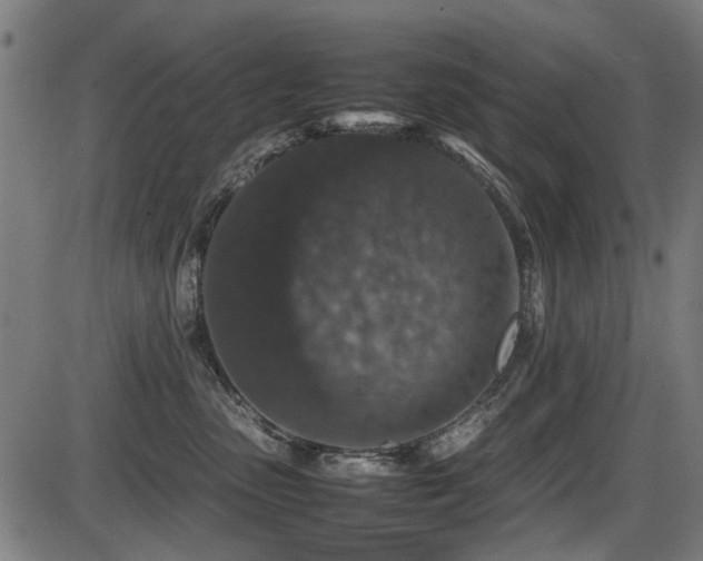 X0000087640475200705031515