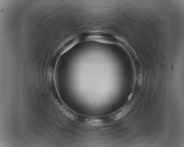 X0000087640476200705031515