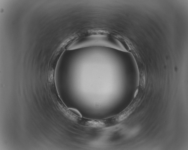 X0000087640477200705031515