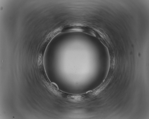 X0000087640478200705031515