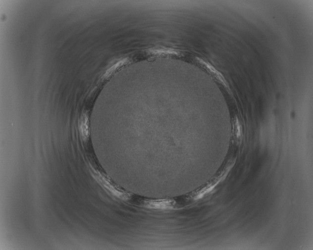 X0000087640479200705031515