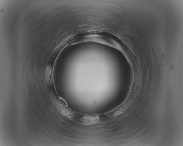 X0000087640480200705031515