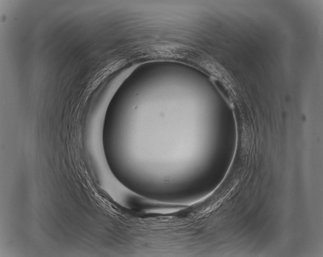 X0000087640481200705031514