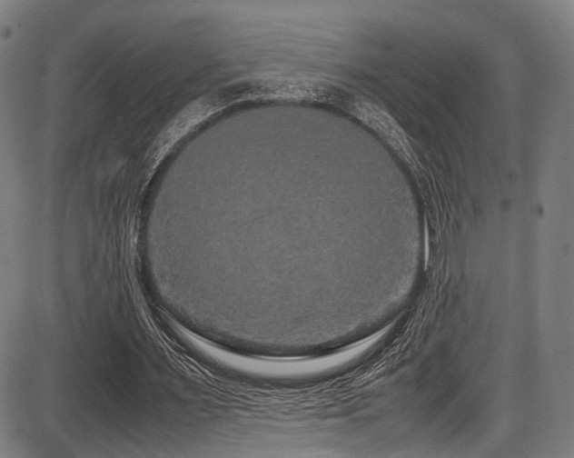 X0000087640483200705031514