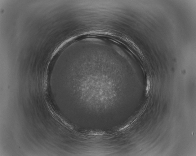 X0000087640484200705031514