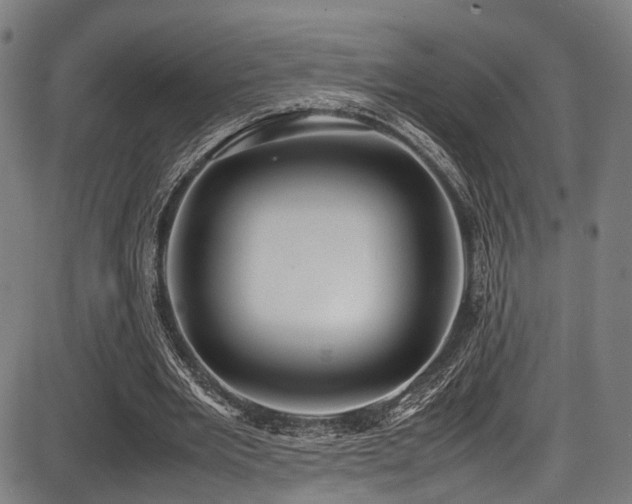 X0000087640485200705031514