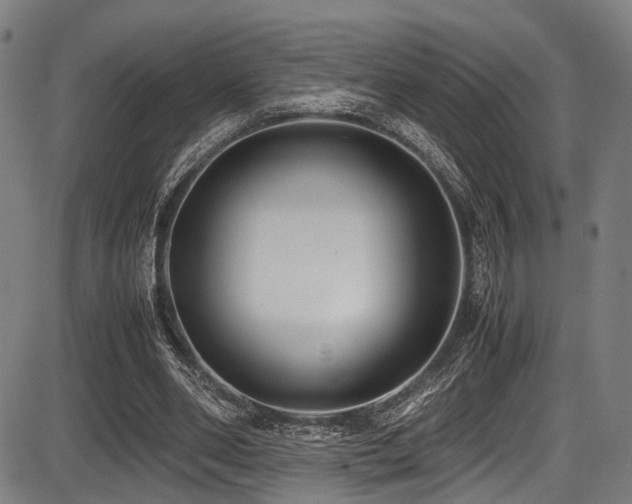 X0000087640486200705031514