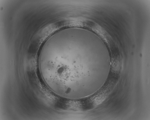 X0000087640487200705031514