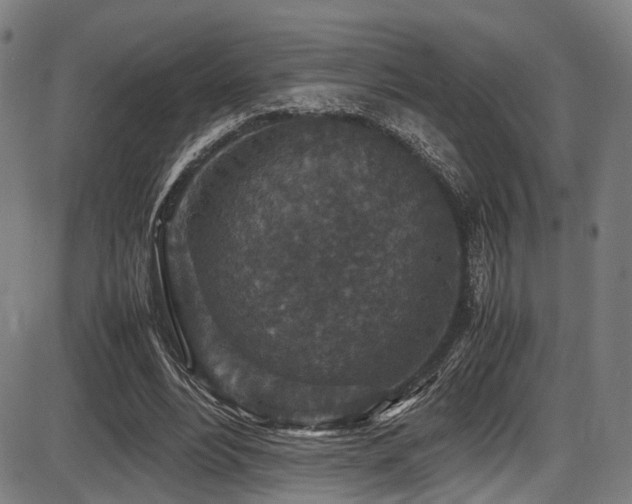 X0000087640488200705031514