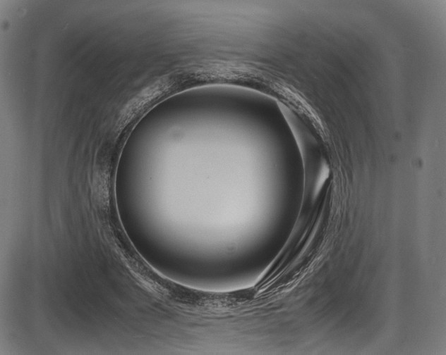 X0000087640489200705031514