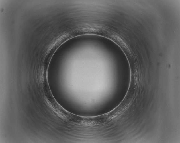 X0000087640490200705031514