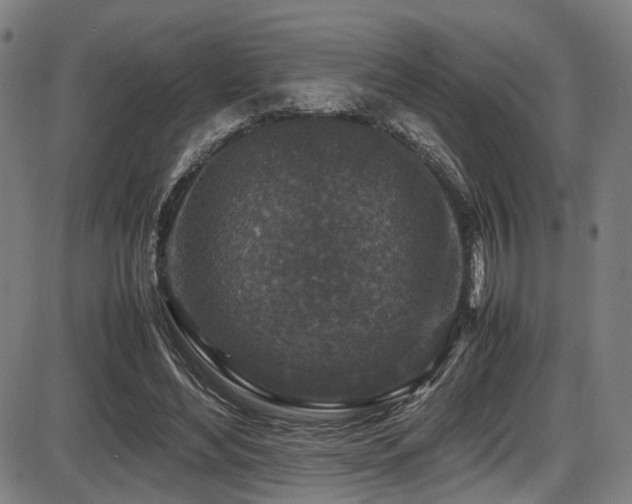 X0000087640492200705031514