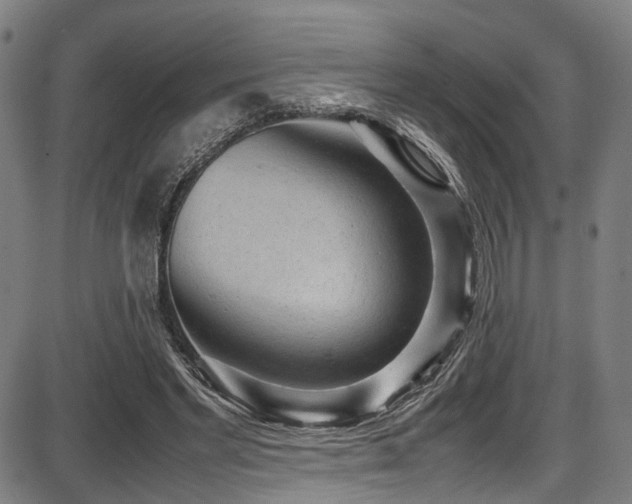 X0000087640493200705031514