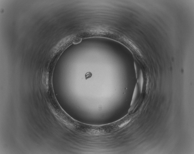 X0000087640494200705031514