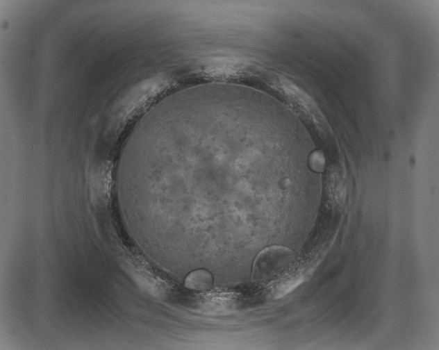 X0000087640495200705031514