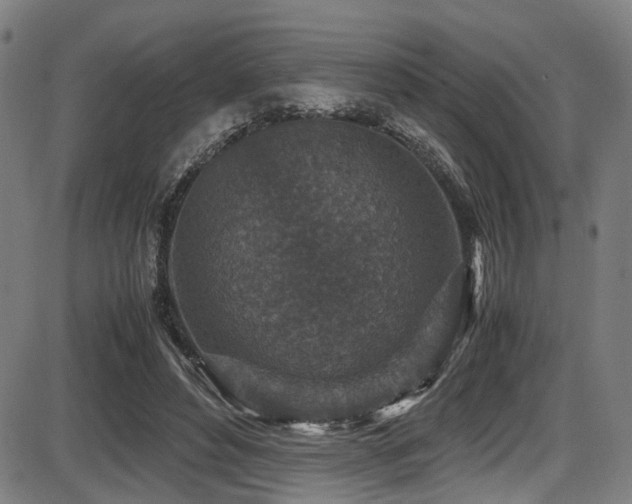 X0000087640496200705031514