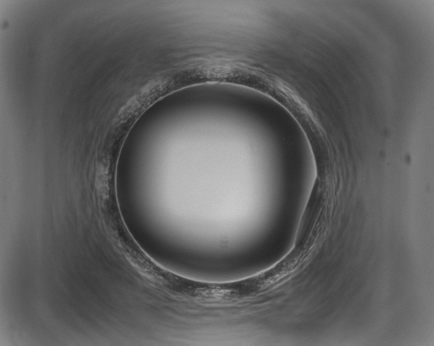 X0000087640497200705031514