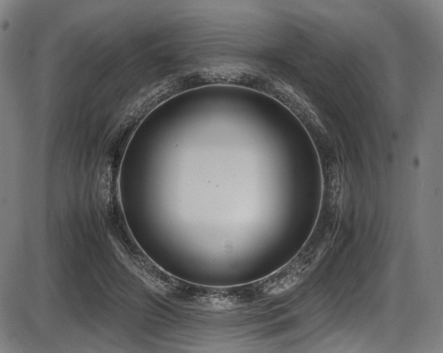 X0000087640498200705031514