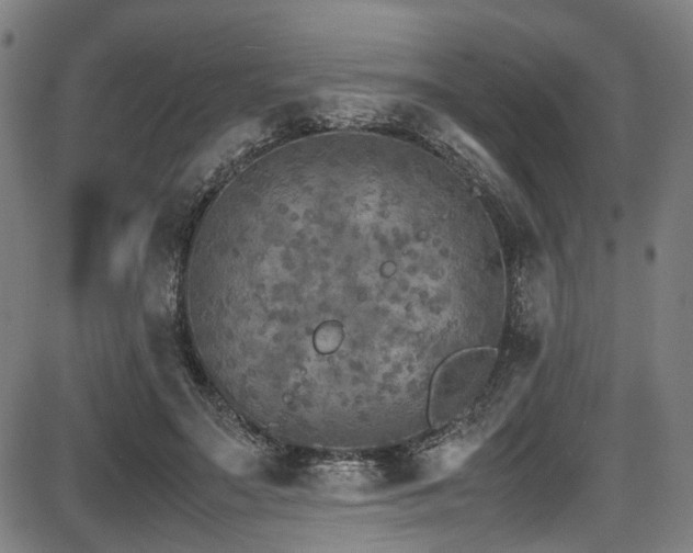 X0000087640499200705031514