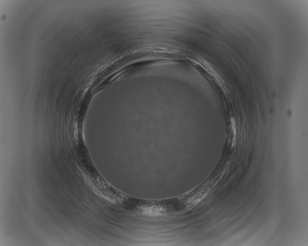 X0000087640500200705031514