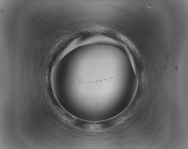 X0000087640501200705031514