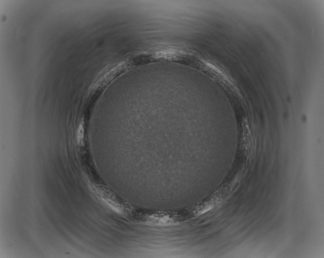 X0000087640502200705031514