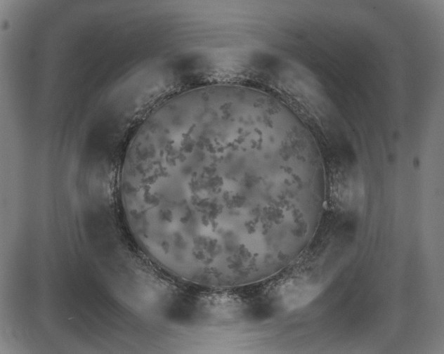 X0000087640503200705031514