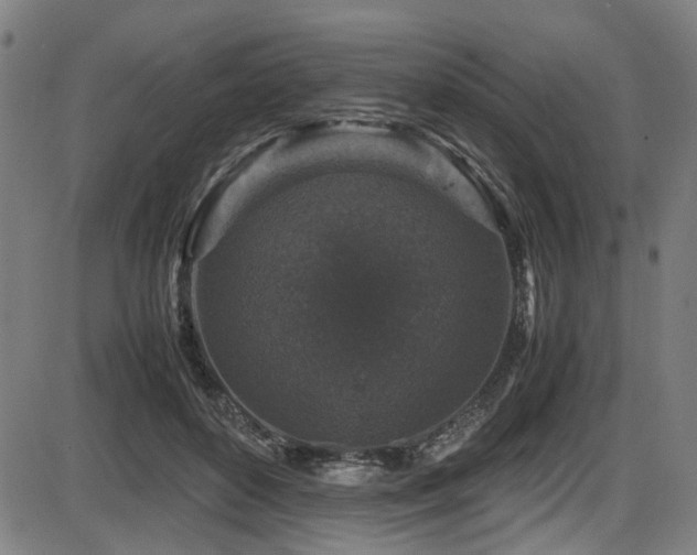 X0000087640504200705031514