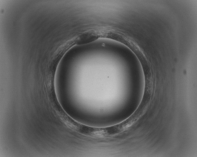 X0000087640505200705031514