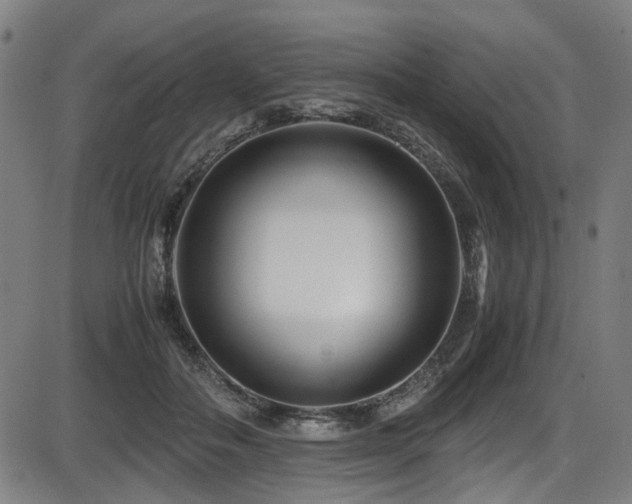 X0000087640506200705031514