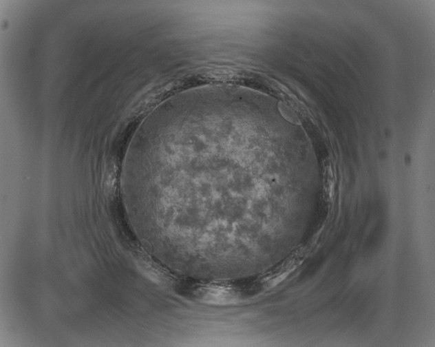 X0000087640507200705031514