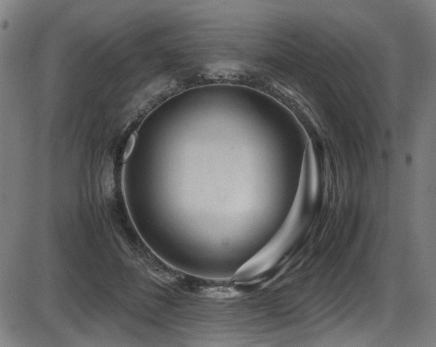 X0000087640508200705031514