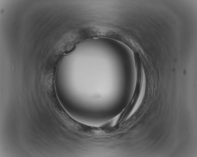 X0000087640509200705031514