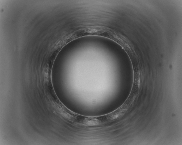 X0000087640510200705031514