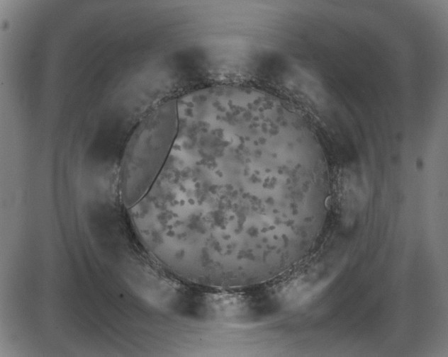 X0000087640511200705031514