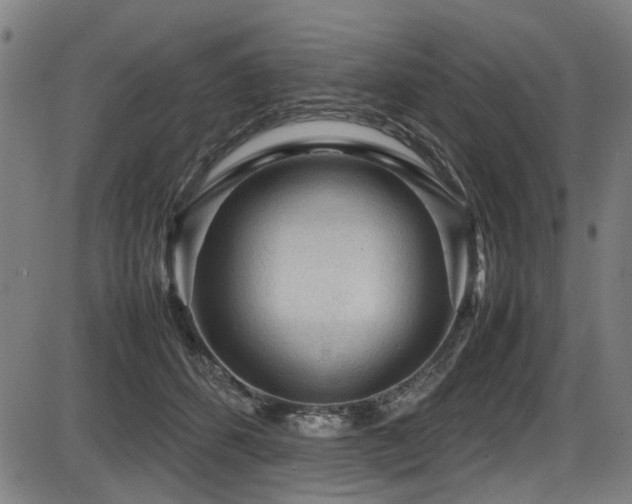 X0000087640512200705031514