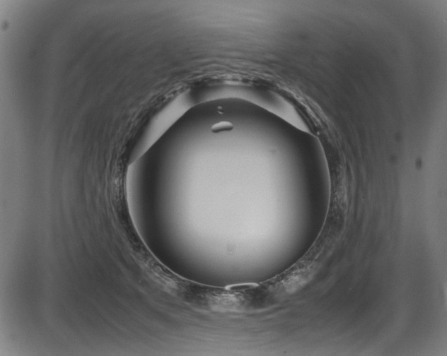 X0000087640513200705031514