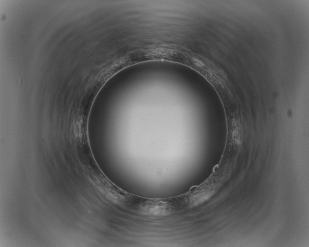 X0000087640514200705031514