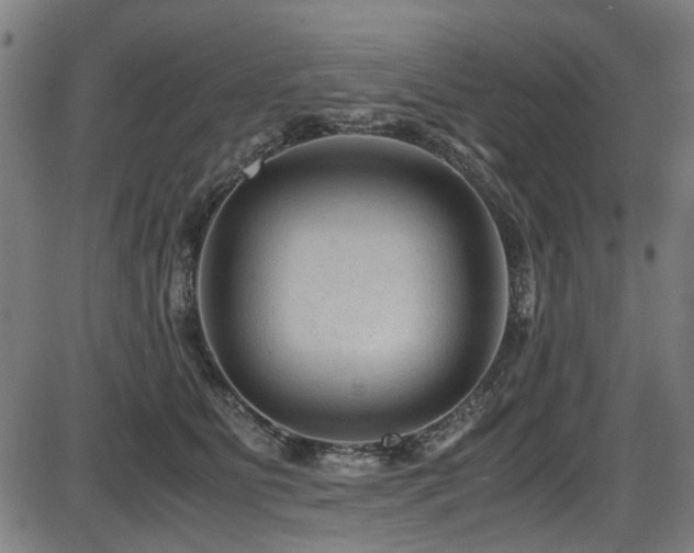 X0000087640515200705031513