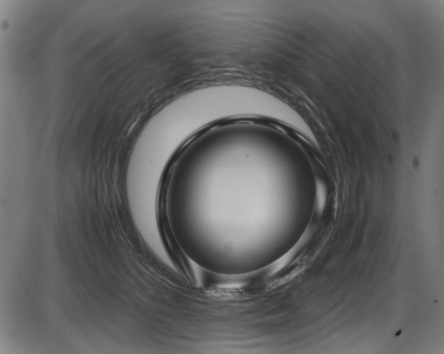 X0000087640516200705031513