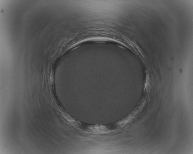 X0000087640517200705031513