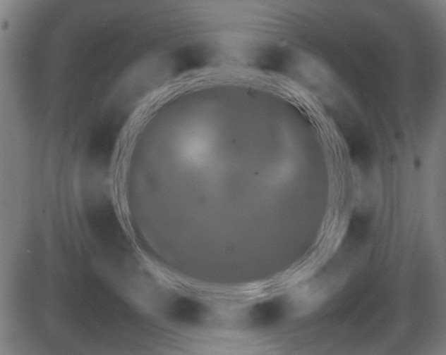 X0000087640519200705031513