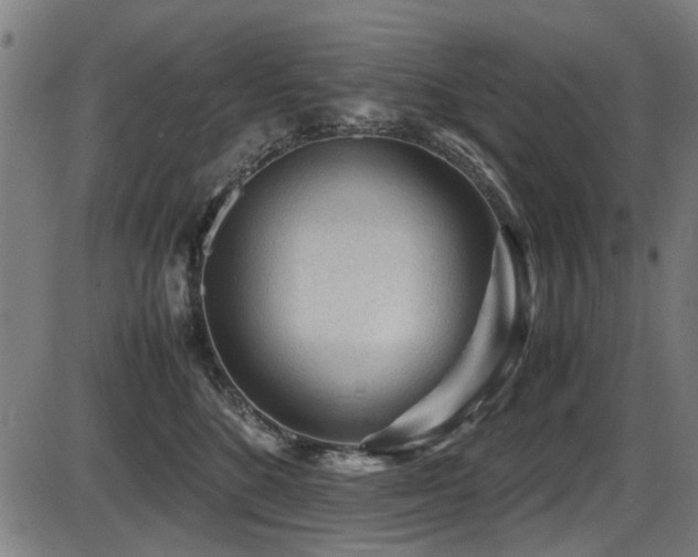 X0000087640520200705031513