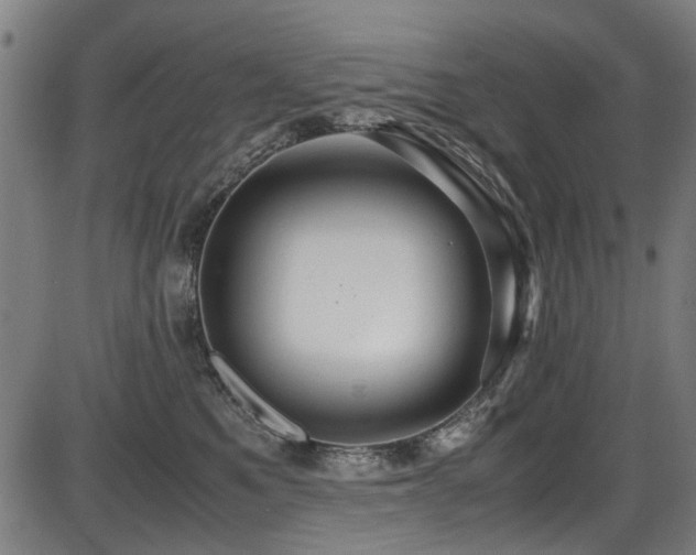 X0000087640521200705031513