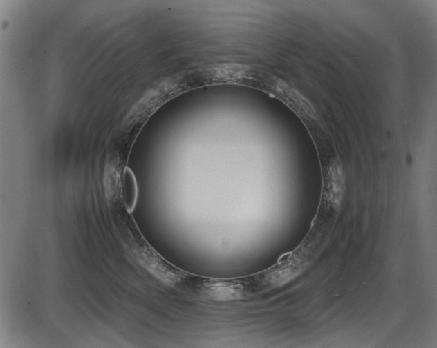 X0000087640522200705031513